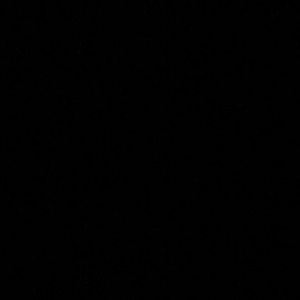 Meet your Posher, Leonard